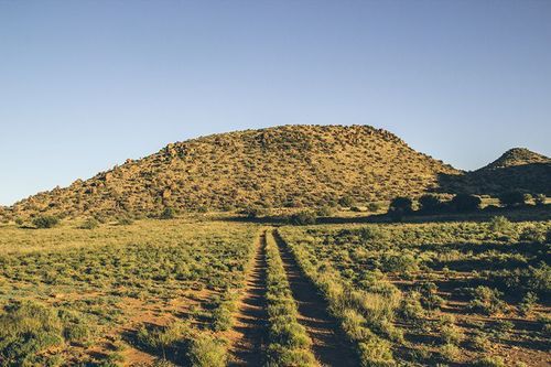 Aan De Voor Safaris 2