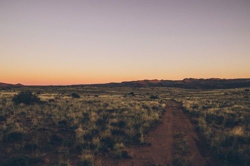 Aan De Voor Safaris 3