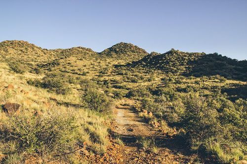 Aan De Voor Safaris 4