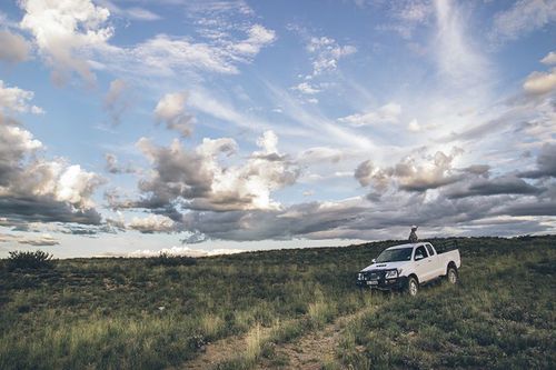 Aan De Voor Safaris 7