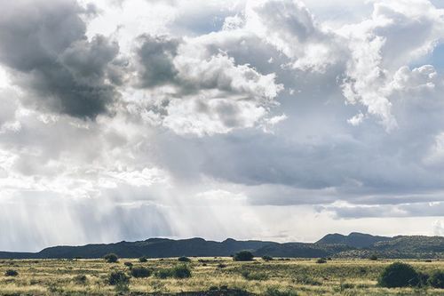 Aan De Voor Safaris 9