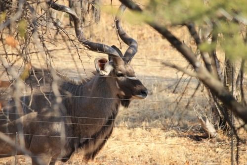 Hotel Foreva Wild 14