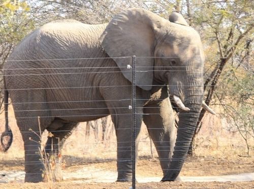 Hotel Foreva Wild 18