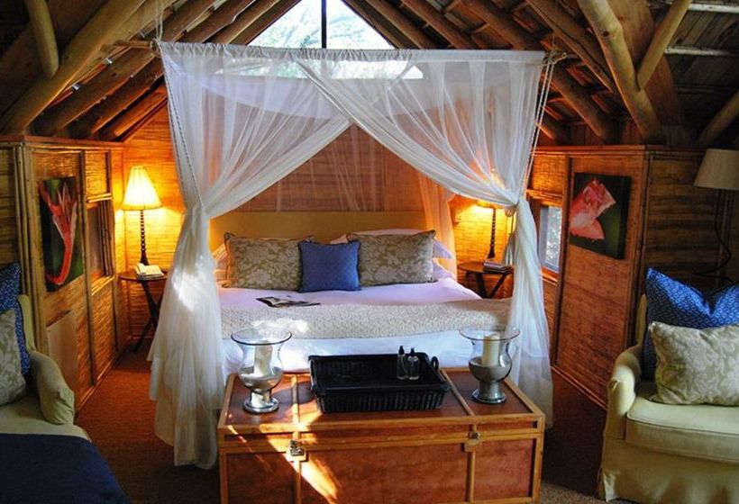 Hotel Phantom Forest Eco Reserve 10