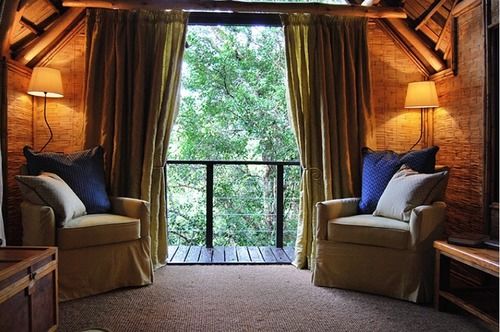 Hotel Phantom Forest Eco Reserve 12