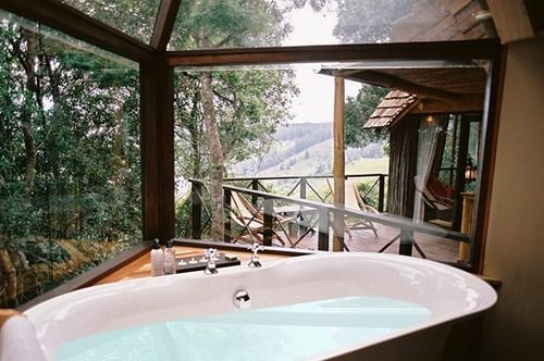 Hotel Phantom Forest Eco Reserve 14