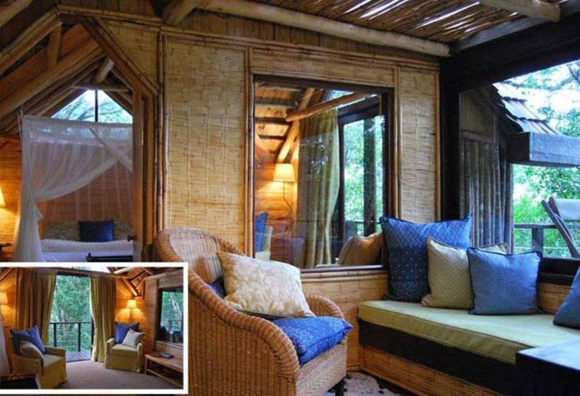 Hotel Phantom Forest Eco Reserve 4