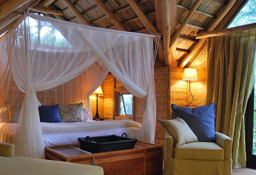 Hotel Phantom Forest Eco Reserve 5