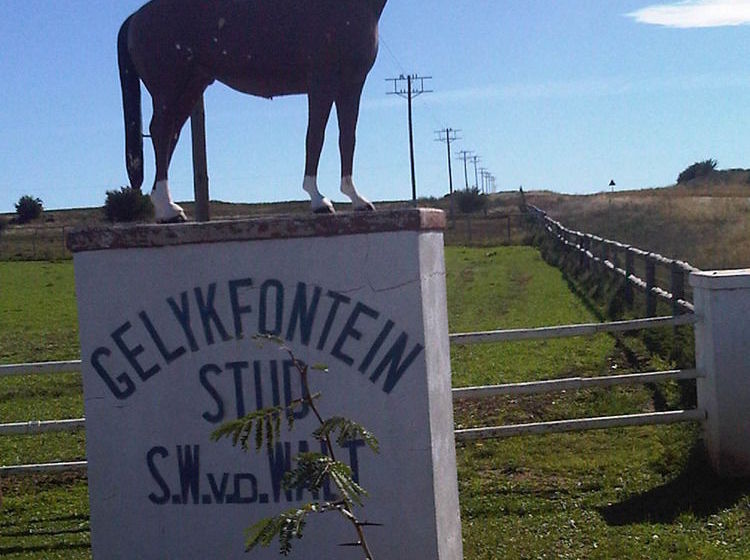 Hotel Morning Glory Cottages 17