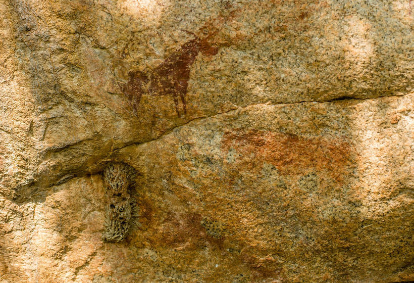 Hotel Humala River Lodge 10