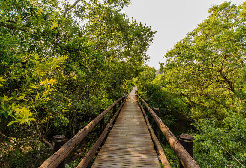 Hotel Humala River Lodge 11