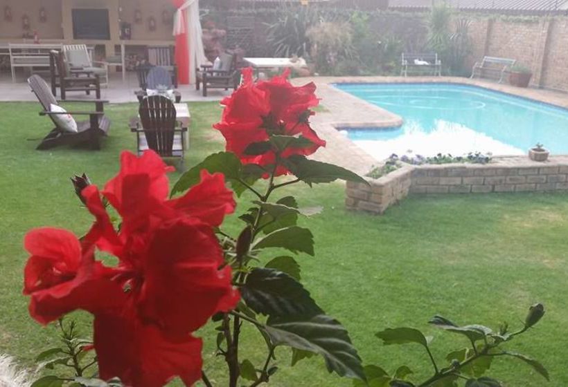 Bed and Breakfast Dara Guest House 13