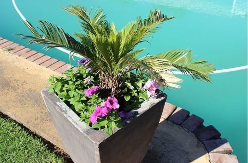 Hotel Lodge Linga Longa 4