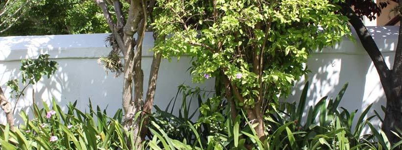 Bed and Breakfast Number5 Guesthouse 2