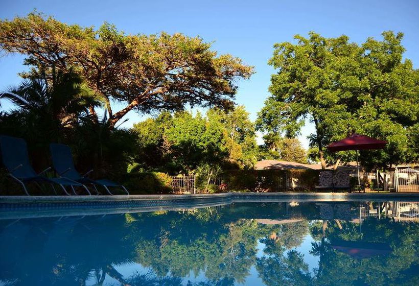 Pension King's Highway Guest House 15