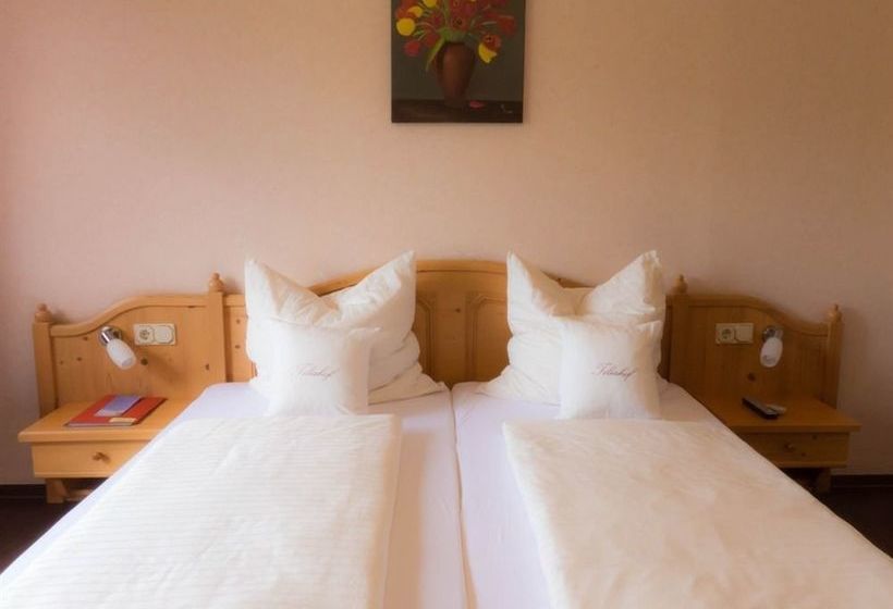 Hotel Weingut-Pension Tiliahof 9