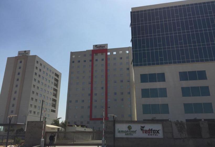 Red Fox Hotel Sector 60 Gurugram