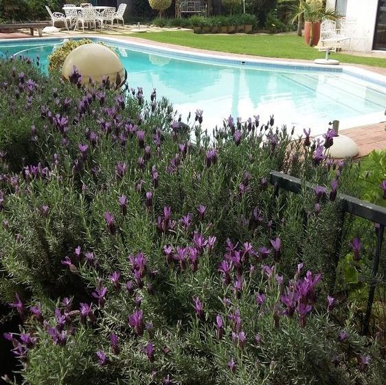 Pension Cape Pillars Boutique Guesthouse 20