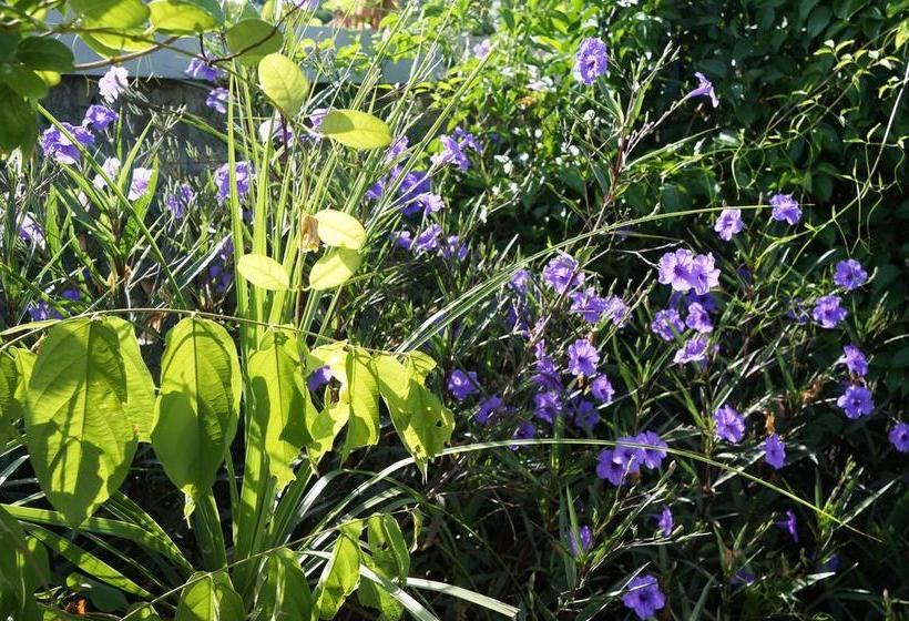 Thongpanchang Resort 11