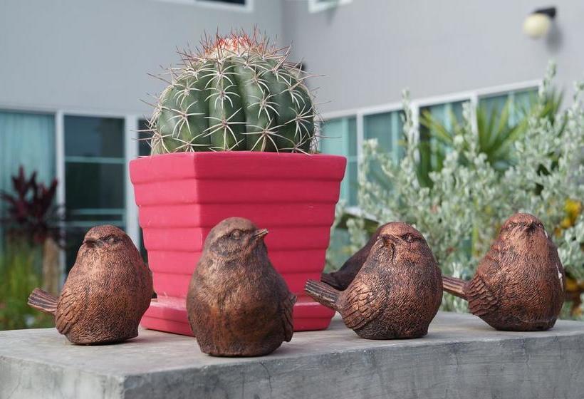 Thongpanchang Resort 13