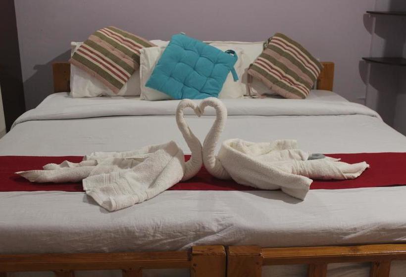 Hotel Gooseberry Retreats 11