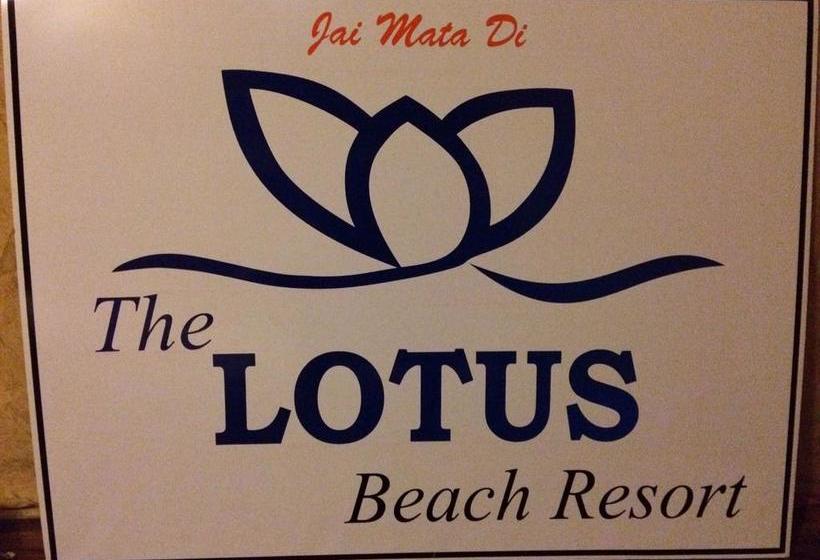 Resort The Lotous 11