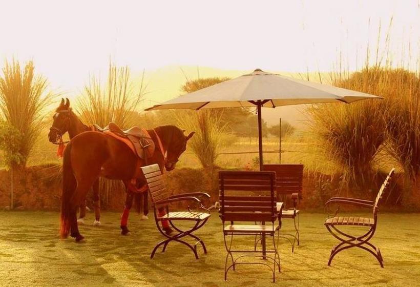 Bed and Breakfast Maa Ashapura Resort