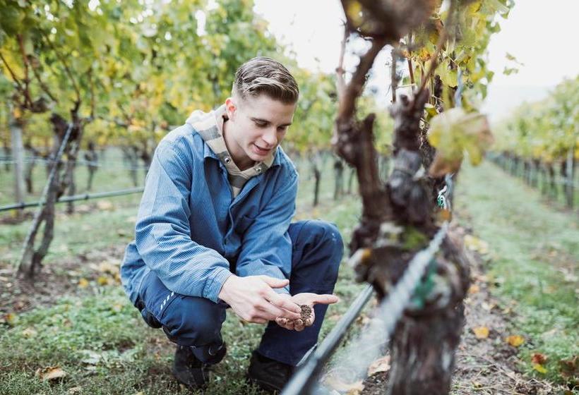 Hotel Gasthof Zum Weißen Lamm 17