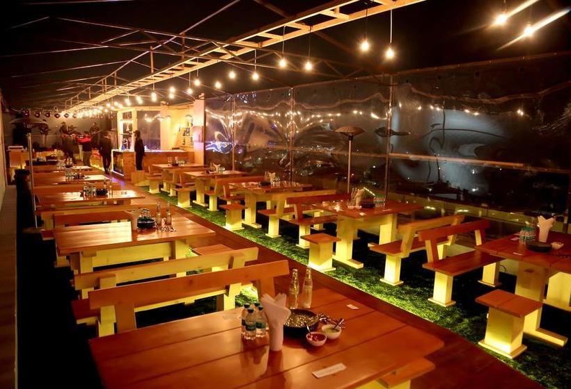 Hotel Black Panther 16