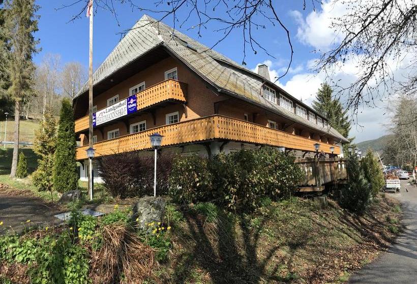 Hotel Heizmannshof 1