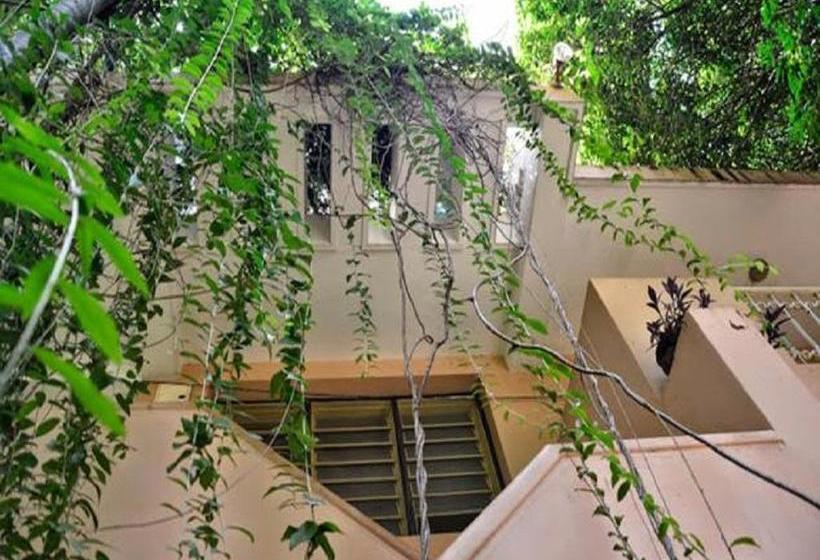 Hotel Pallava Dynasty Tamil Nadu