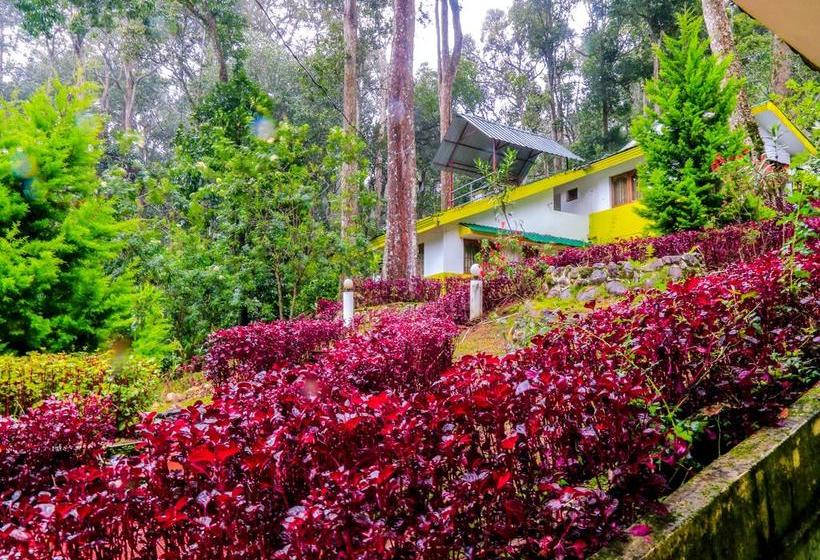 Hotel Oyo Rooms Tagore Mount Cottages 4