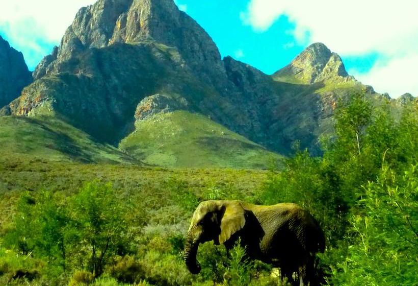 Resort Fairy Glen Private Game Reserve