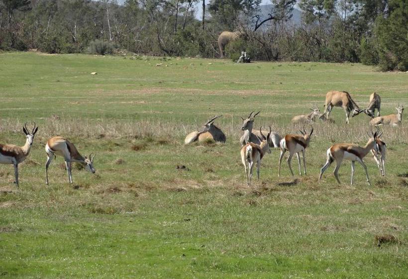 Resort Fairy Glen Private Game Reserve 5