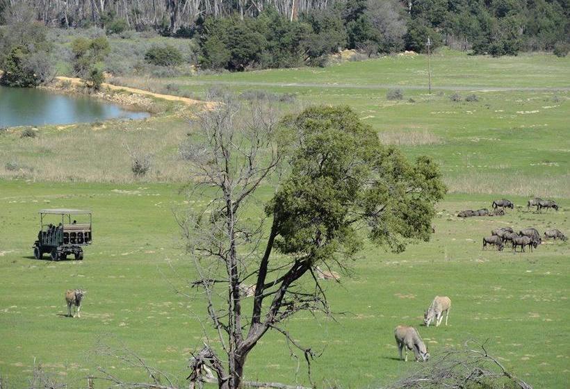 Resort Fairy Glen Private Game Reserve 8