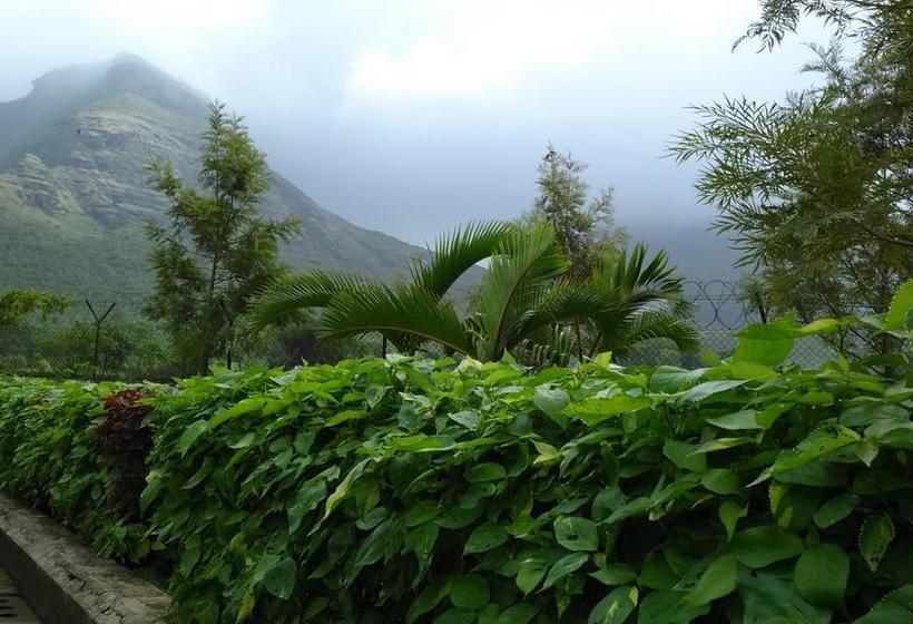 Resort Dew Drops Boutique Retreat 5