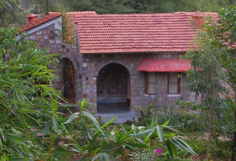 Mogli Jungle Resort Bandhavgarh 10