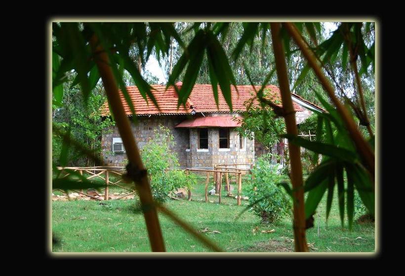 Mogli Jungle Resort Bandhavgarh 12