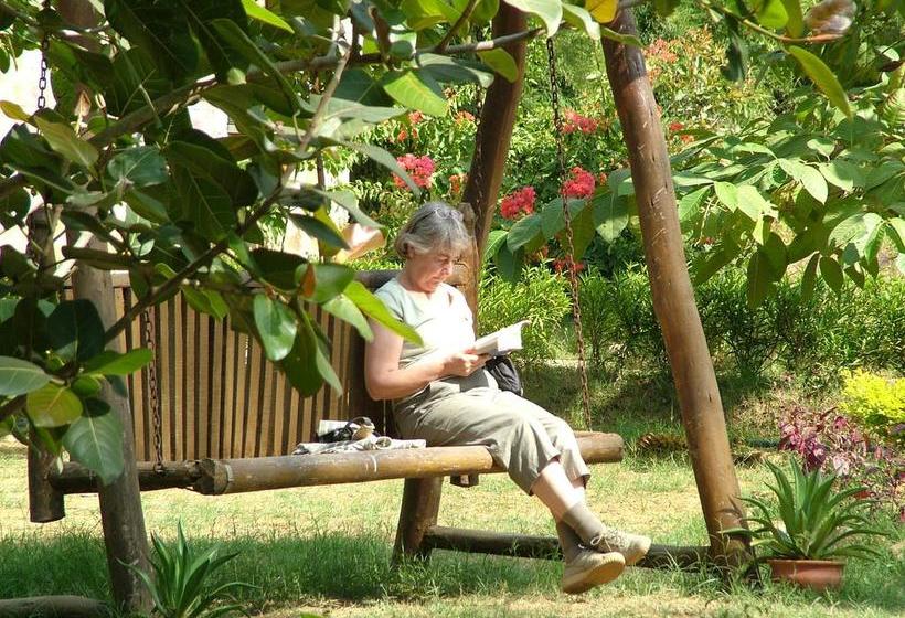 Mogli Jungle Resort Bandhavgarh 18