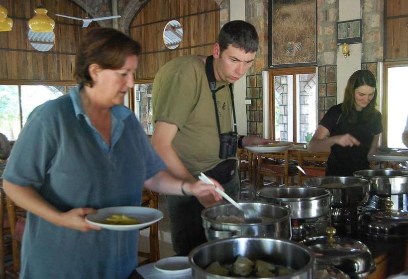 Mogli Jungle Resort Bandhavgarh 19