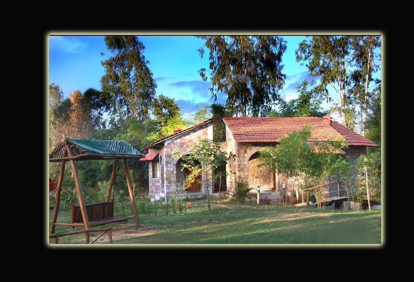 Mogli Jungle Resort Bandhavgarh 5