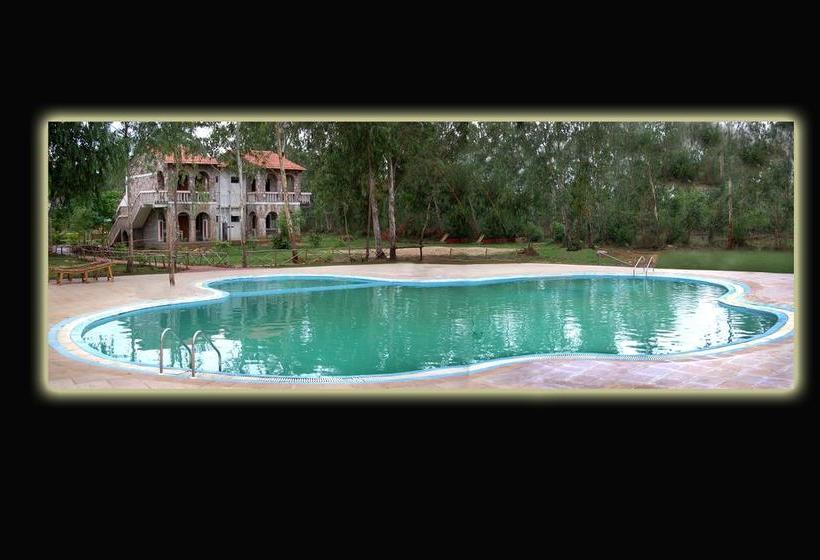 Mogli Jungle Resort Bandhavgarh 7