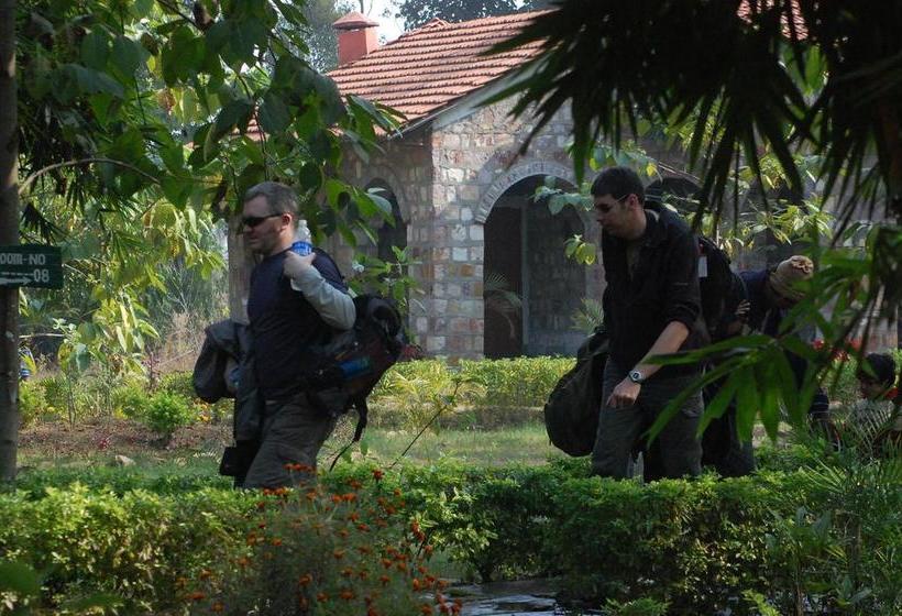 Mogli Jungle Resort Bandhavgarh 9