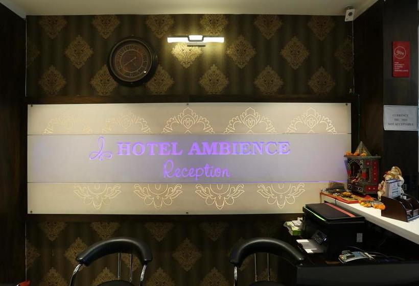 Hotel Ambience 17