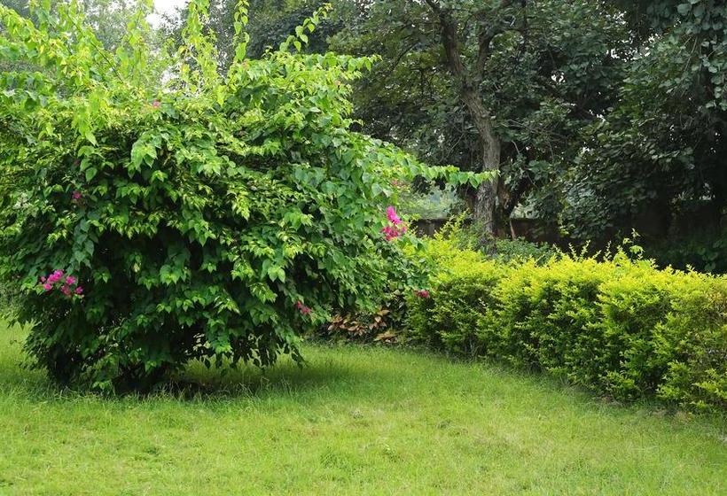 Hotel Bandhavgarh365 20