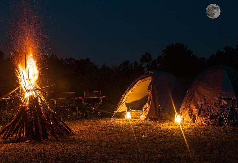 Hotel Bandhavgarh365 7