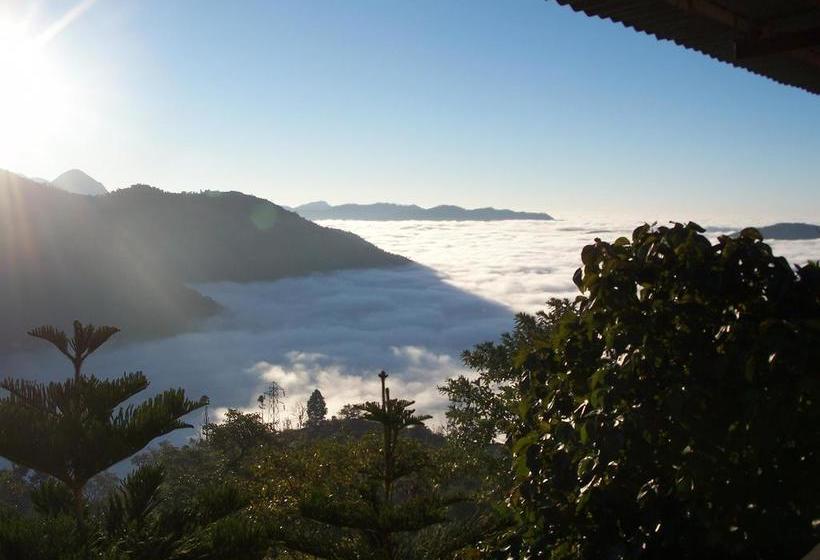 The Satvik Resort 11