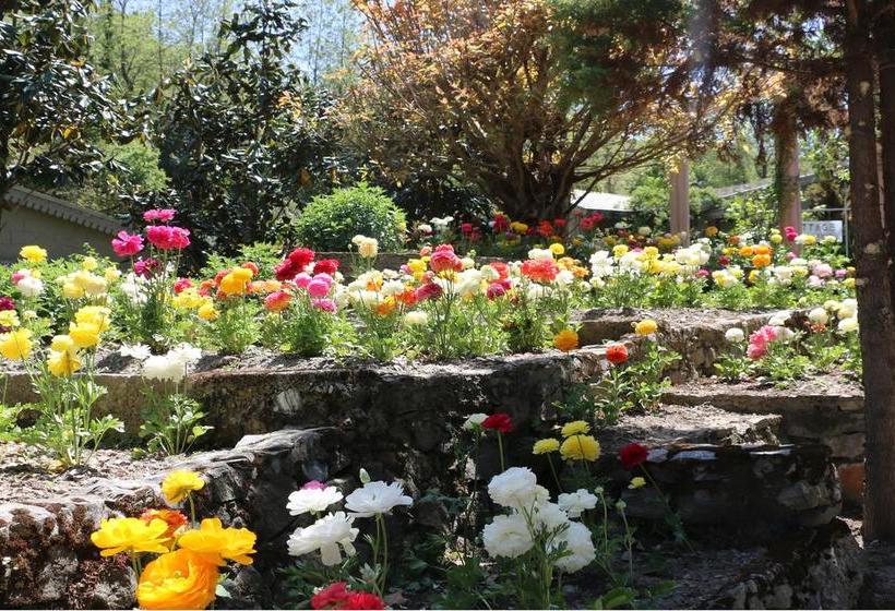 Resort The Lake Village 11