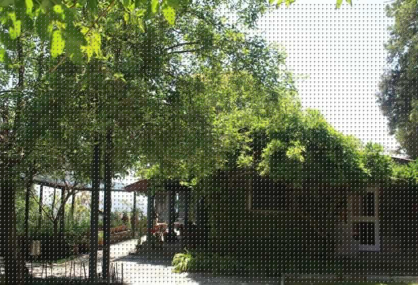 Resort Silent Trail Jilling Sanctuary 1