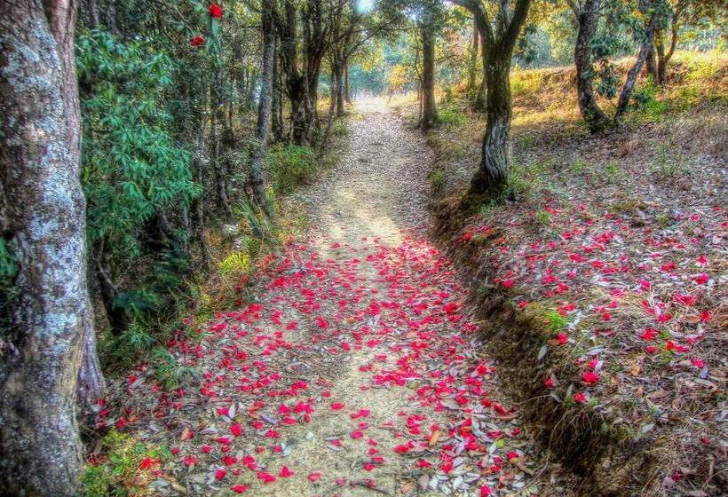 Resort Silent Trail Jilling Sanctuary 7